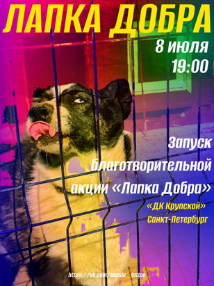 Благотворительная выставка «Лапка Добра»