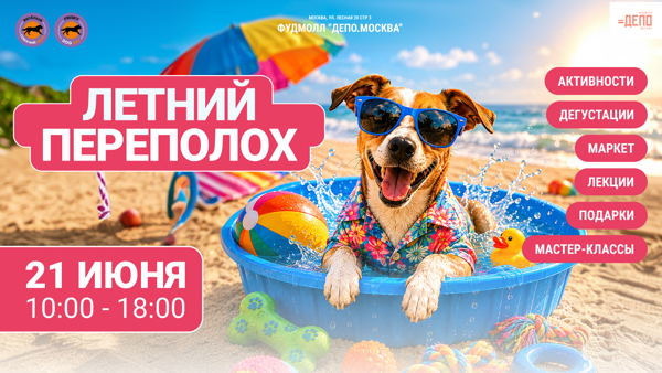 Frisky Dog Day | Летний переполох