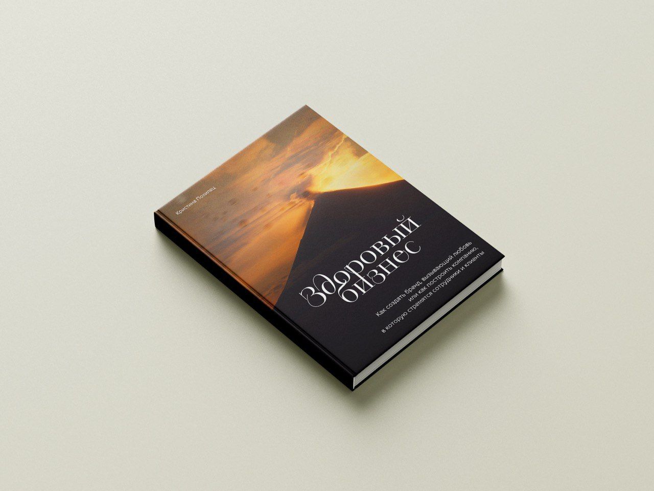 Презентация книги Кристины Похилец «Здоровый бизнес»