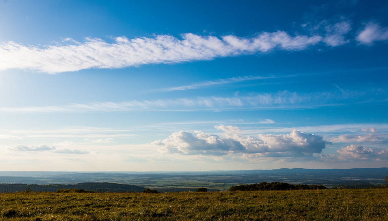 Интеллектуальная игра «Познай истину»