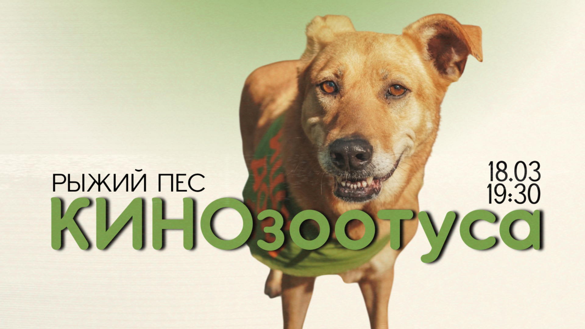 КИНОзоотуса