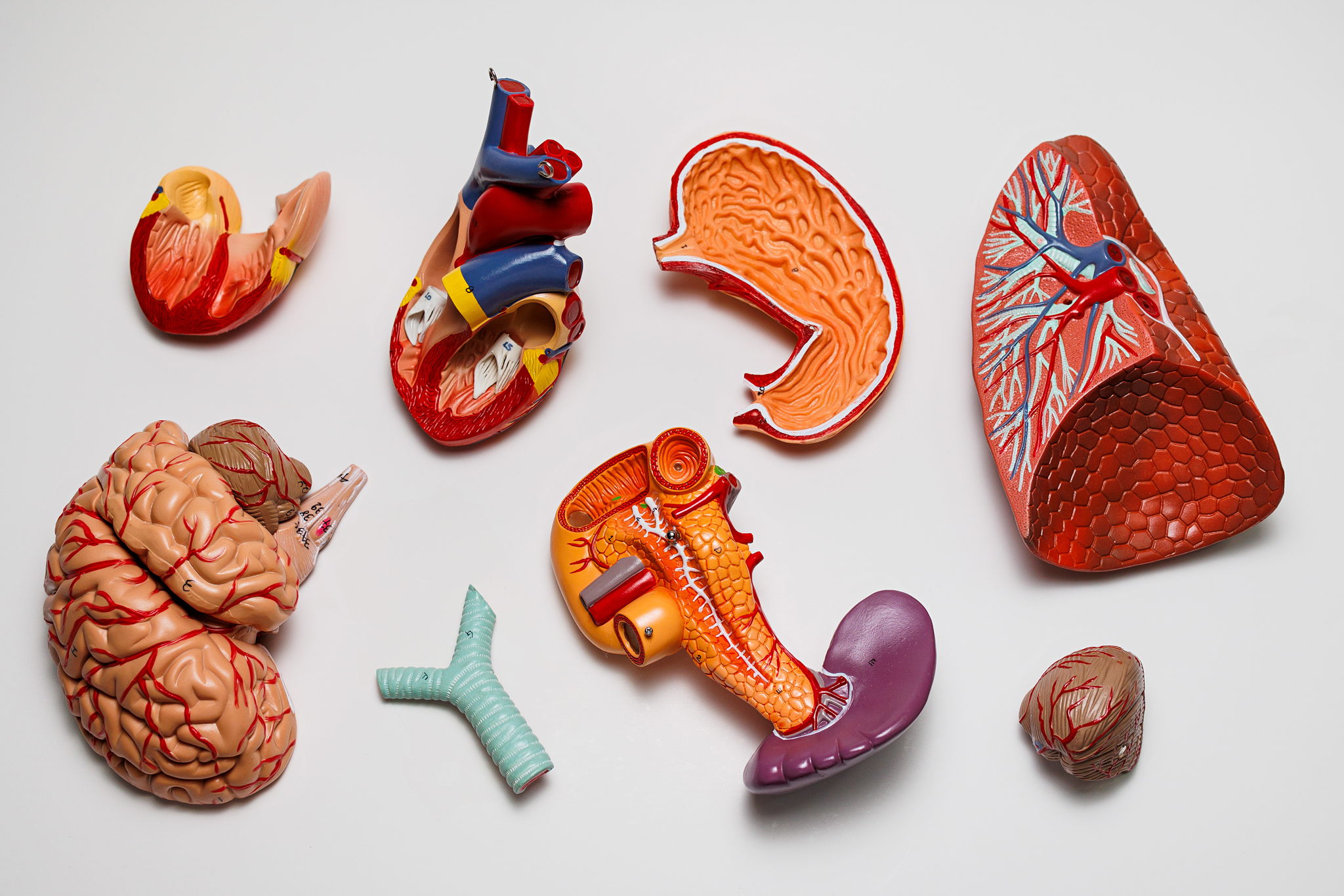 Вокруг тела за 60 минут