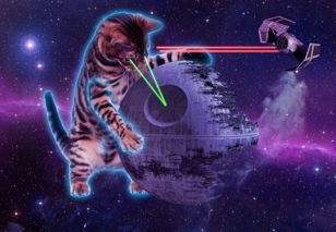 «Котики, пираты и Milky Way». Курс занятий по созданию комиксов