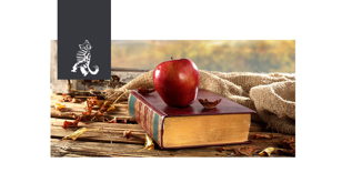 Из чего состоит книга?