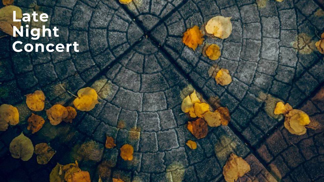 LATE NIGHT CONCERT Вивальди и Пьяццолла