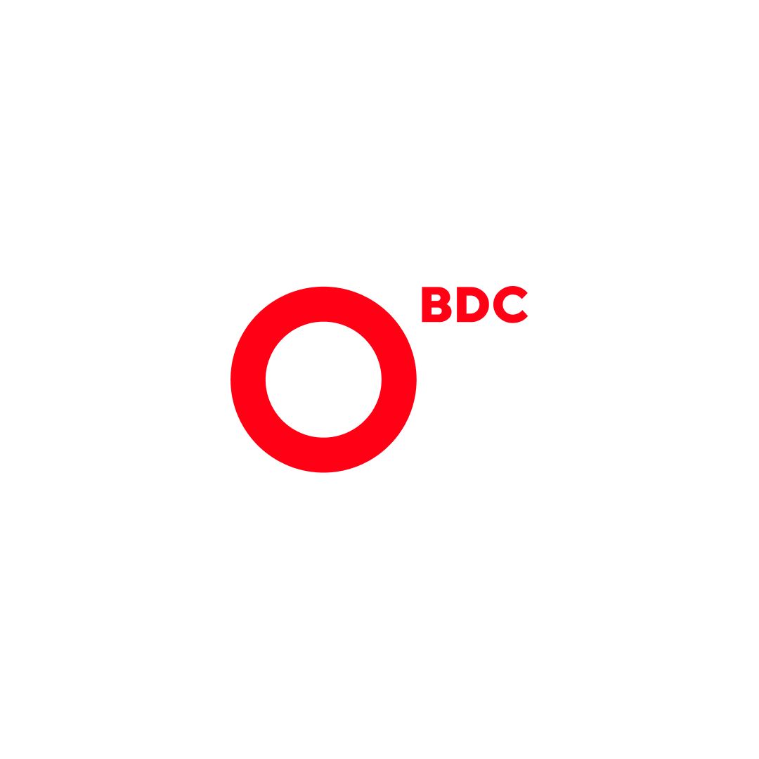 BDC Consulting