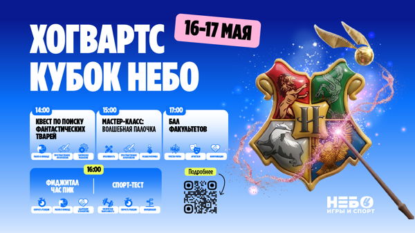 ХОГВАРТС. КУБОК НЕБО