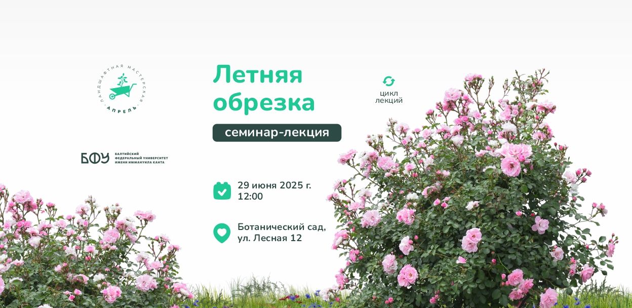 Летняя обрезка. Июль