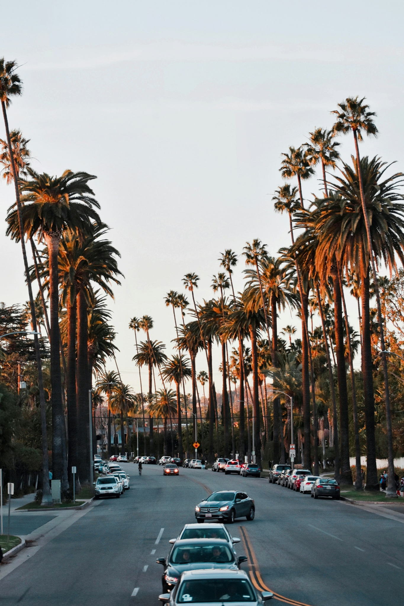 Встреча разговорного английского клуба California Fresh Speaking Club
