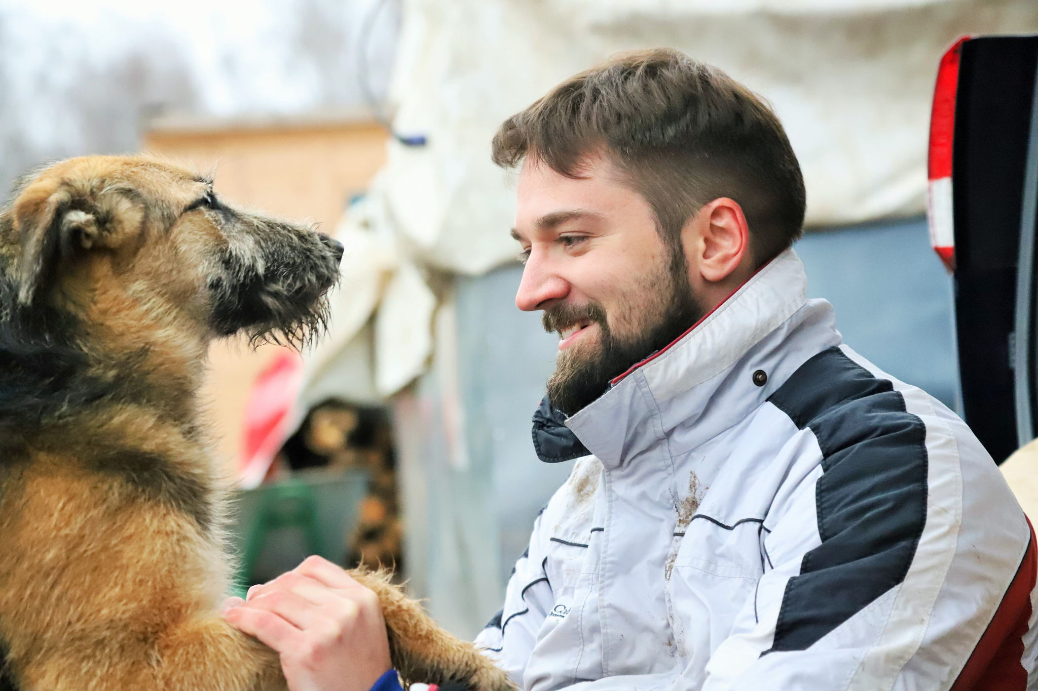 Погуляй собаку 7 лет