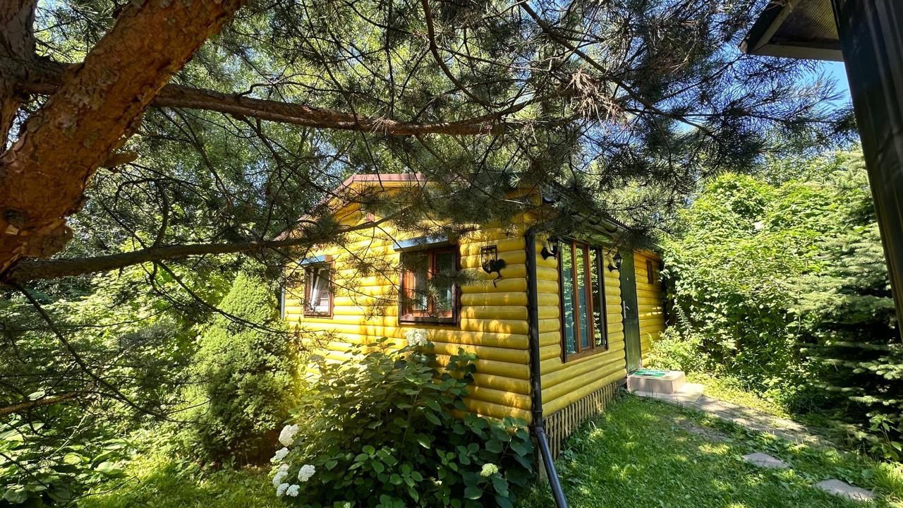 Экскурсия в Переделкино