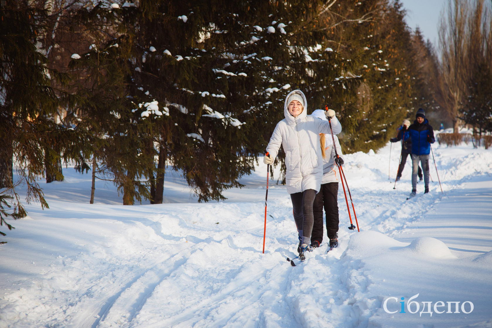 Зимняя лыжная орнитологическая экскурсия в Ржевском лесопарке