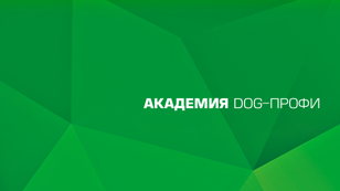 Академия DOG-ПРОФИ для заводчиков в рамках выставки «Зооиндустрия»
