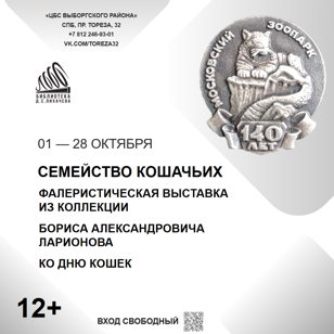 Семейство кошачьих