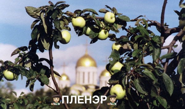 0ткрытый пленэр «Яблочный Спас» для художников