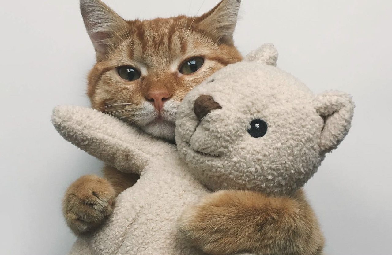 Марафон "Альцресурс". Смехотерапия