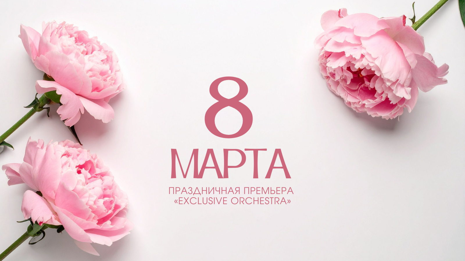 Праздничная премьера «Exclusive Orchestra»