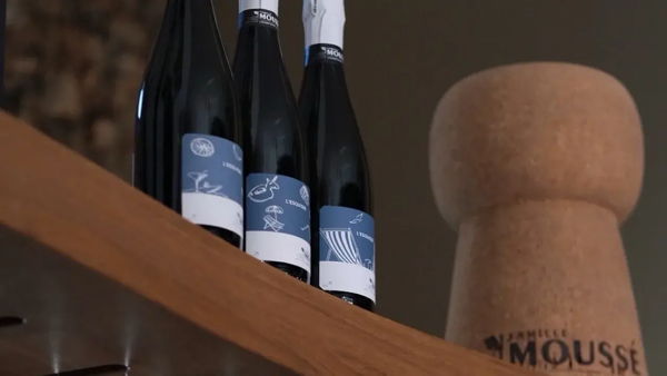 Дегустация шампанского Famille Moussé