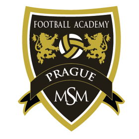 Международная Футбольная Академия МСМ