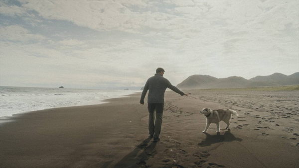 «Очаги. Продолжение. Жизни»