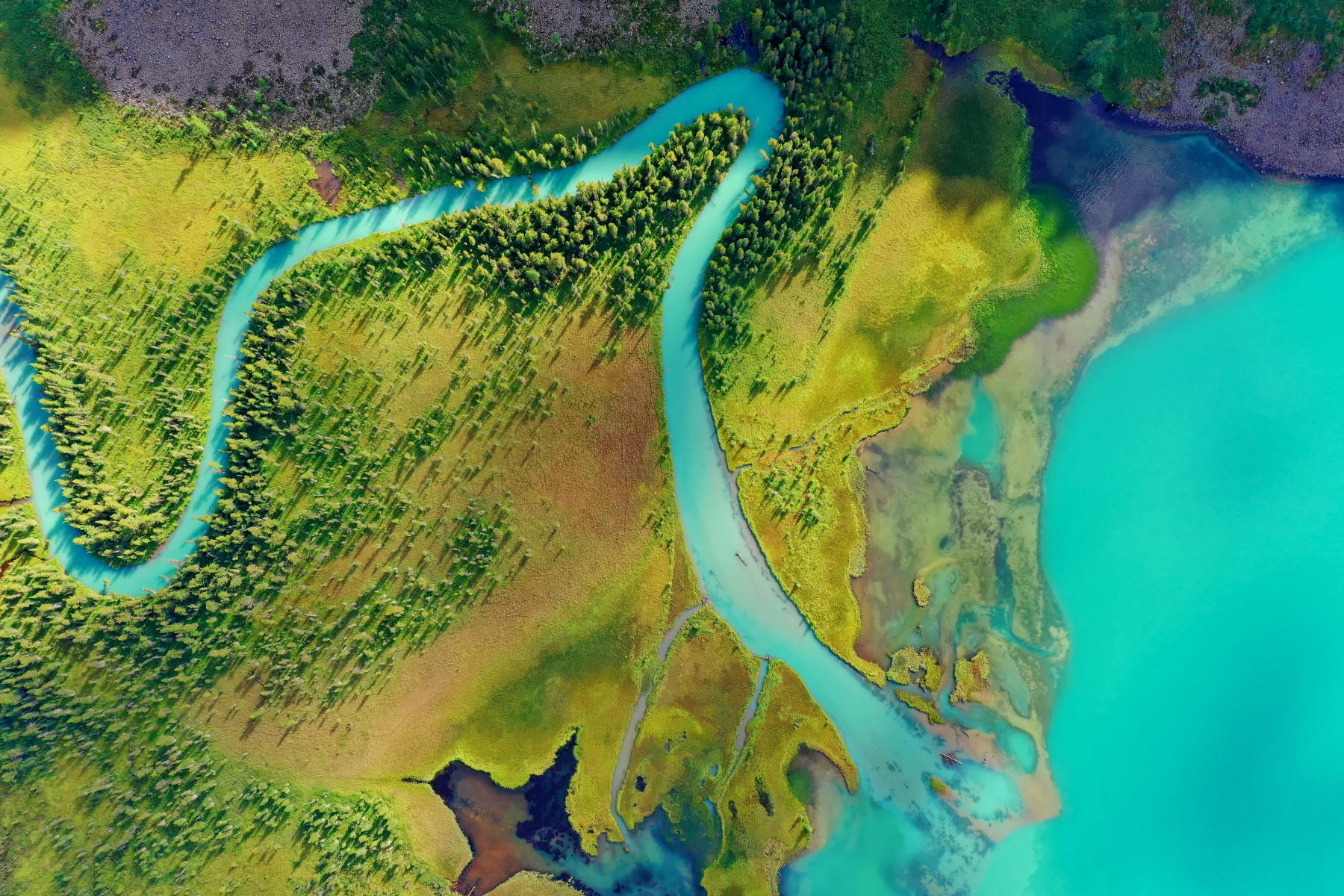 Премьерный показ документального фильма «Многоликий Алтай»