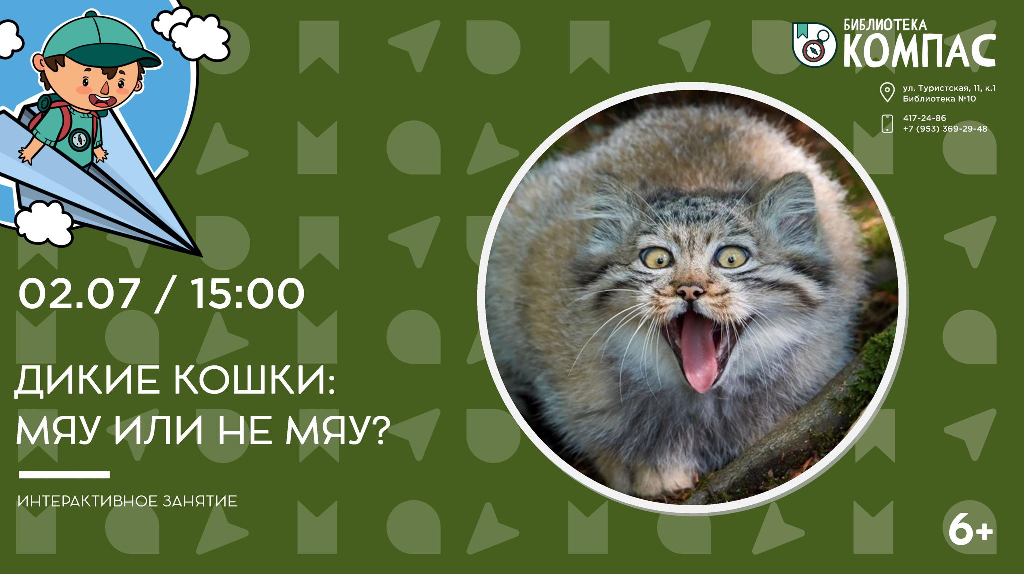Дикие кошки: мяу или не мяу? (6+)