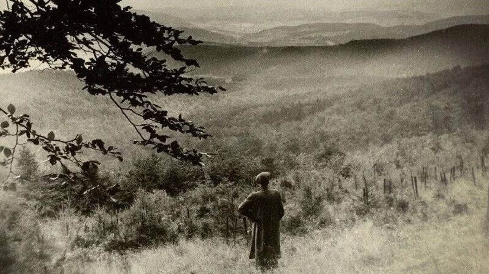 Влюбиться в пейзаж, со всеми его печалями и муками
