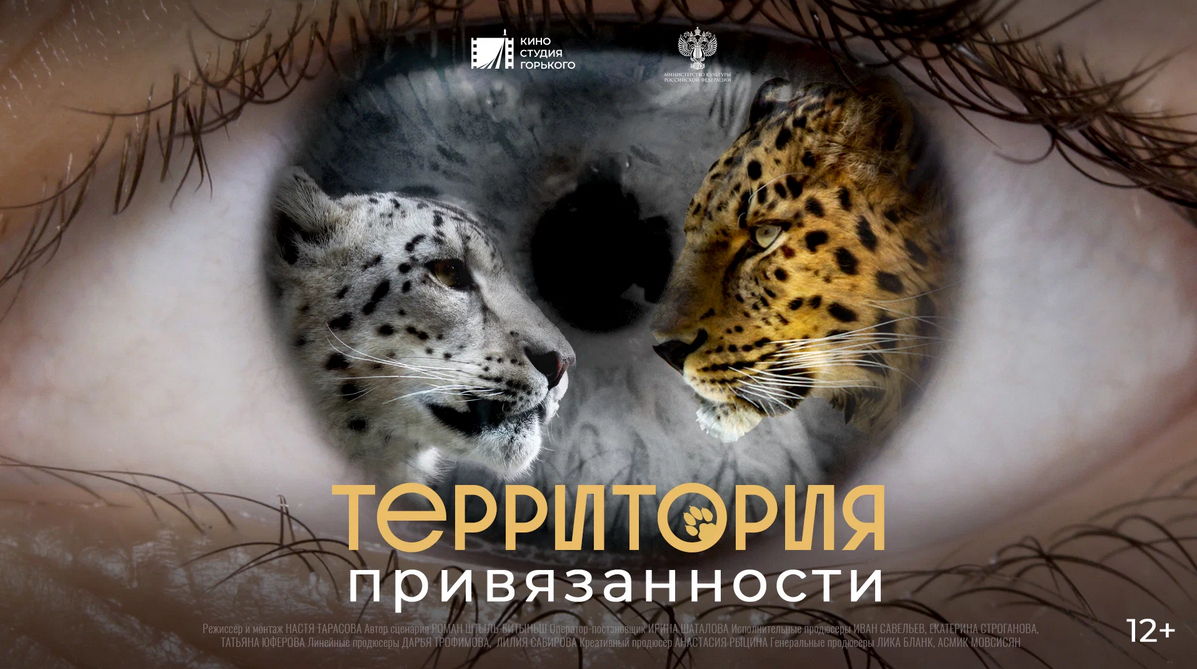Кинопоказ: Территория привязанности