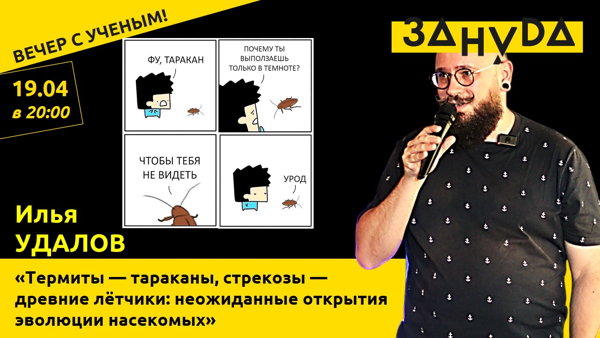 Илья Удалов с лекцией «Термиты — тараканы, стрекозы — древние лётчики: неожиданные открытия эволюции насекомых»