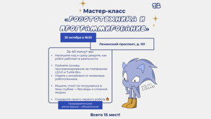 Мастер-класс "Робототехника и программирование" 