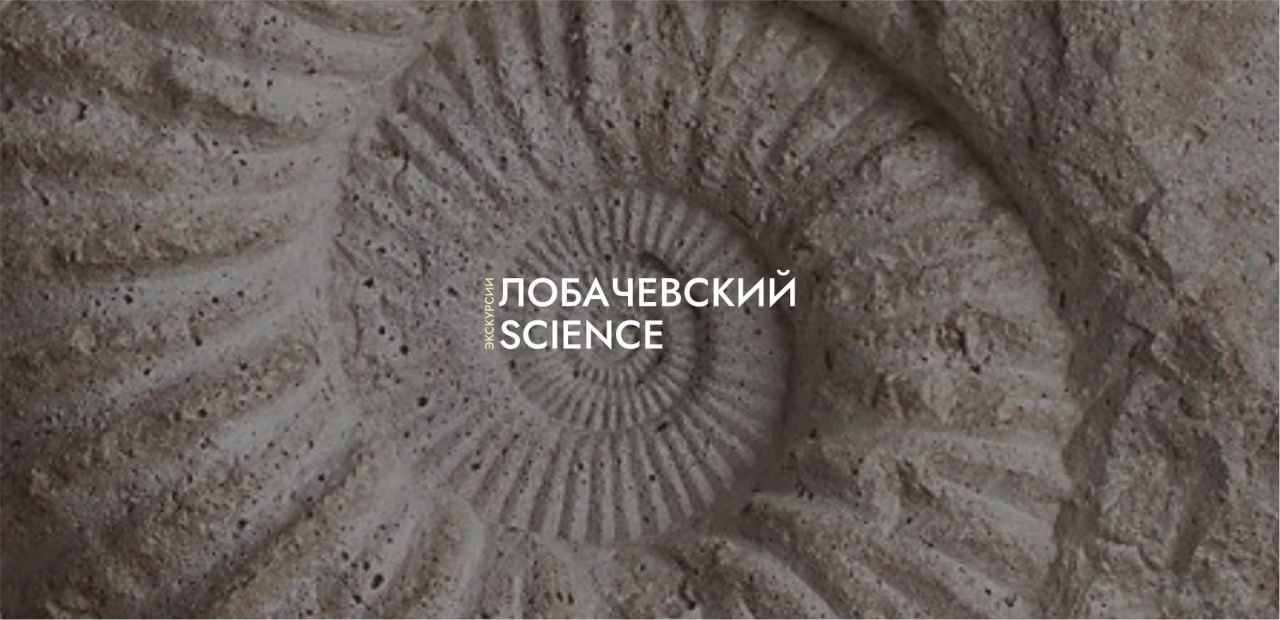 Экскурсия по палеонтологической коллекции ННГАСУ