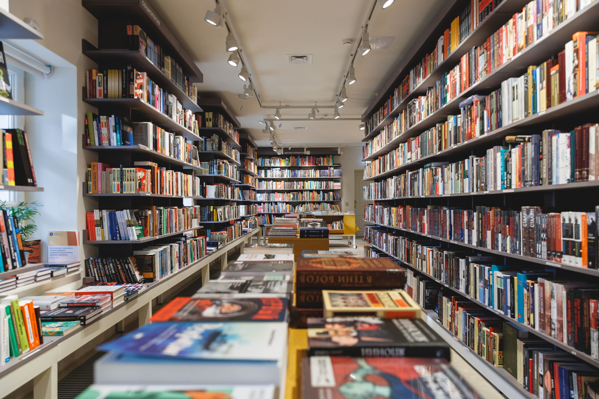 Презентация книг «Краски Запретного города» и «Книга гор и морей»