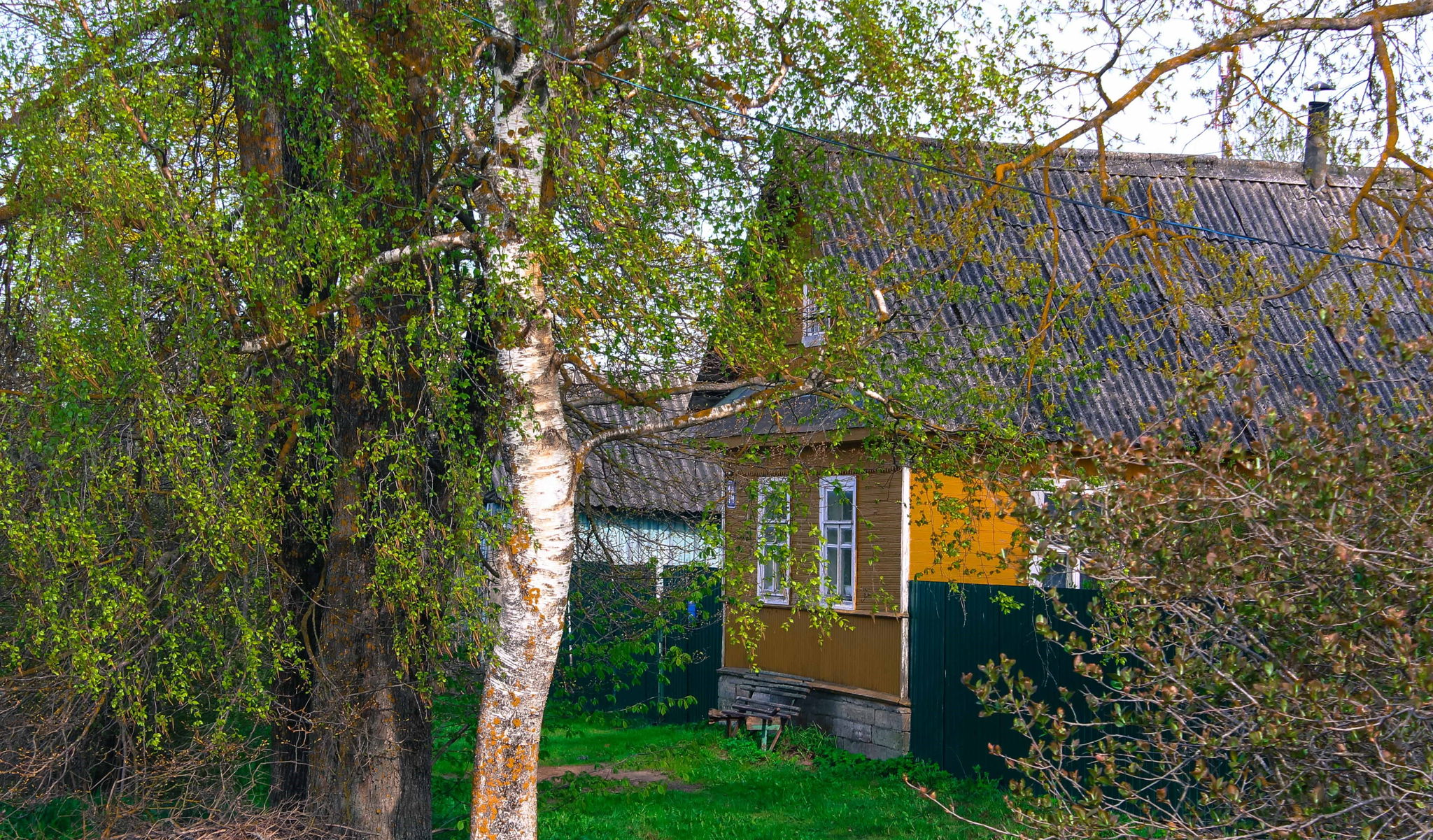 В ГОСТИ К ВРАНГЕЛЯМ