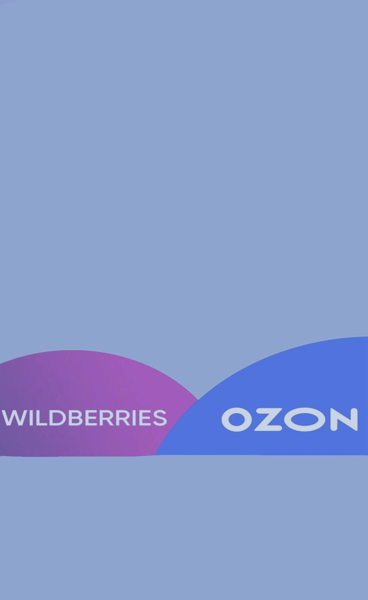 Мастер-класс «Выход на маркетплейсы (ozon, wildberries): как это сделать безопасно и эффективно?»