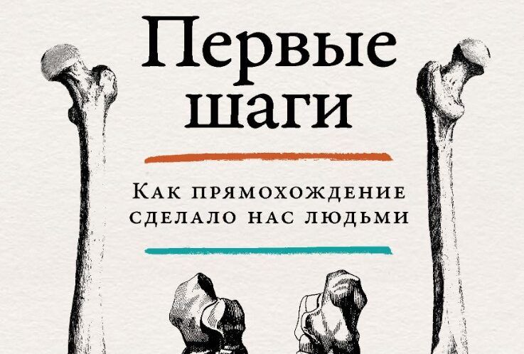 Онлайн-лекция Елены Судариковой «Вертикальные приматы» в рамках презентации книги «Первые шаги: Как прямохождение сделало нас людьми»