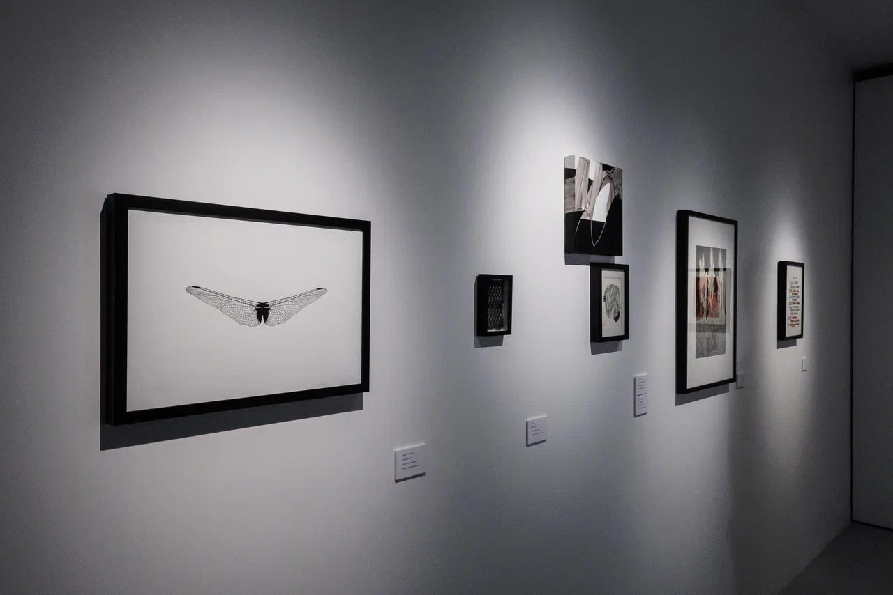 Авторская экскурсия Алексея Партола по выставке «5 углов»