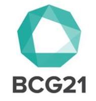 Бизнес Консалтинг Группа BCG21