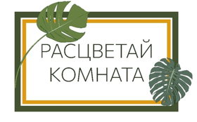 РАСЦВЕТАЙ КОМНАТА 