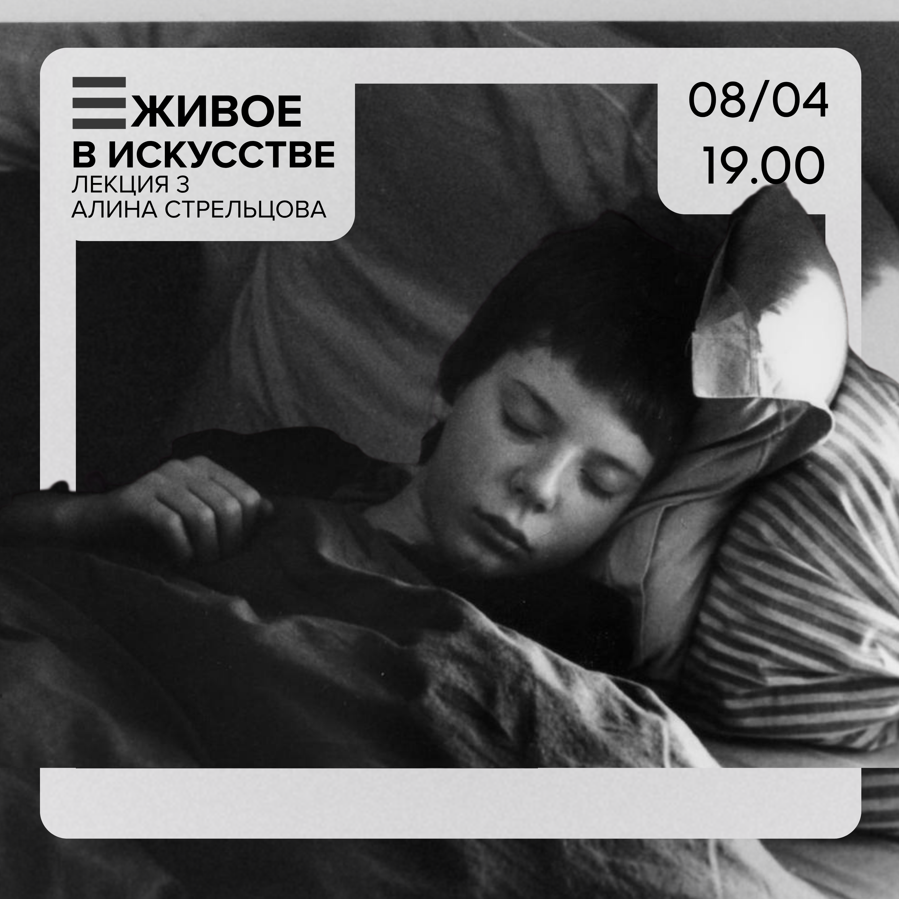Прогулки и паломничества, деревья и собаки, встречи и расставания в современном искусстве франции