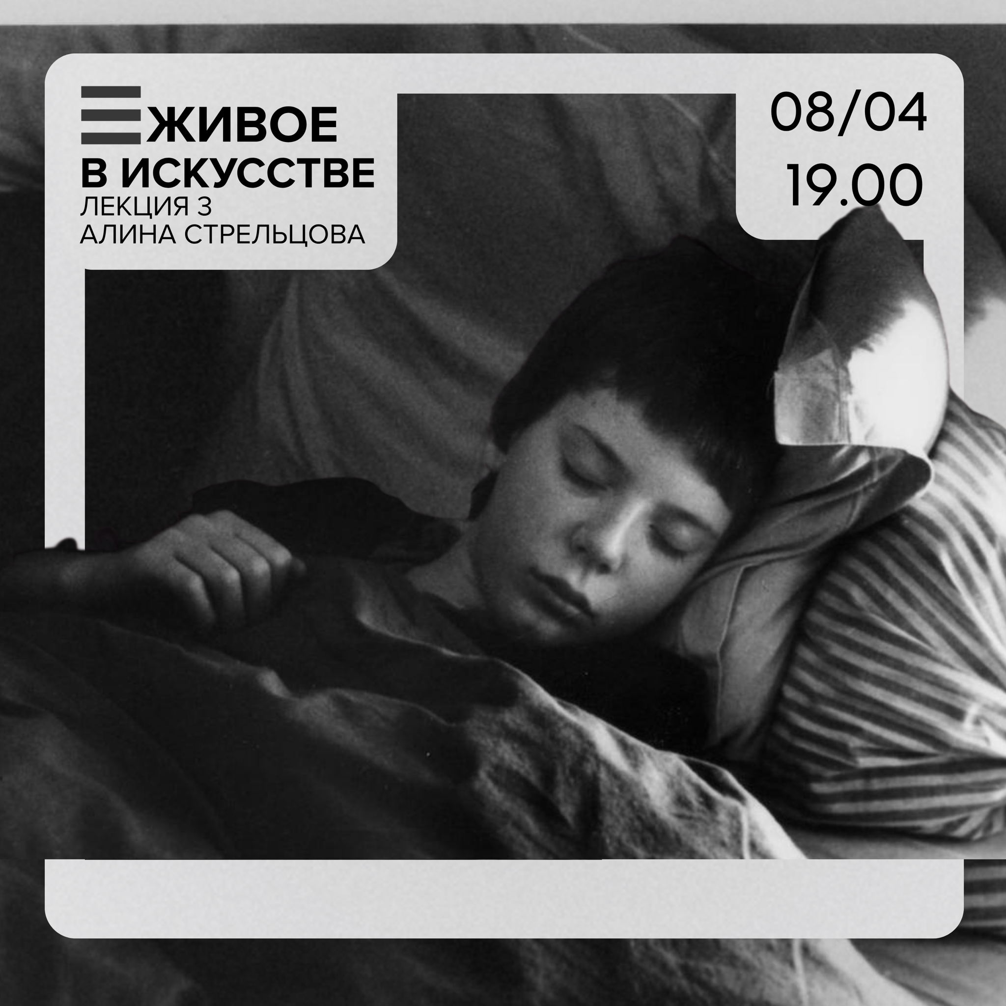 Прогулки и паломничества, деревья и собаки, встречи и расставания в современном искусстве Франции