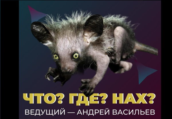 ЧГК в Манеже