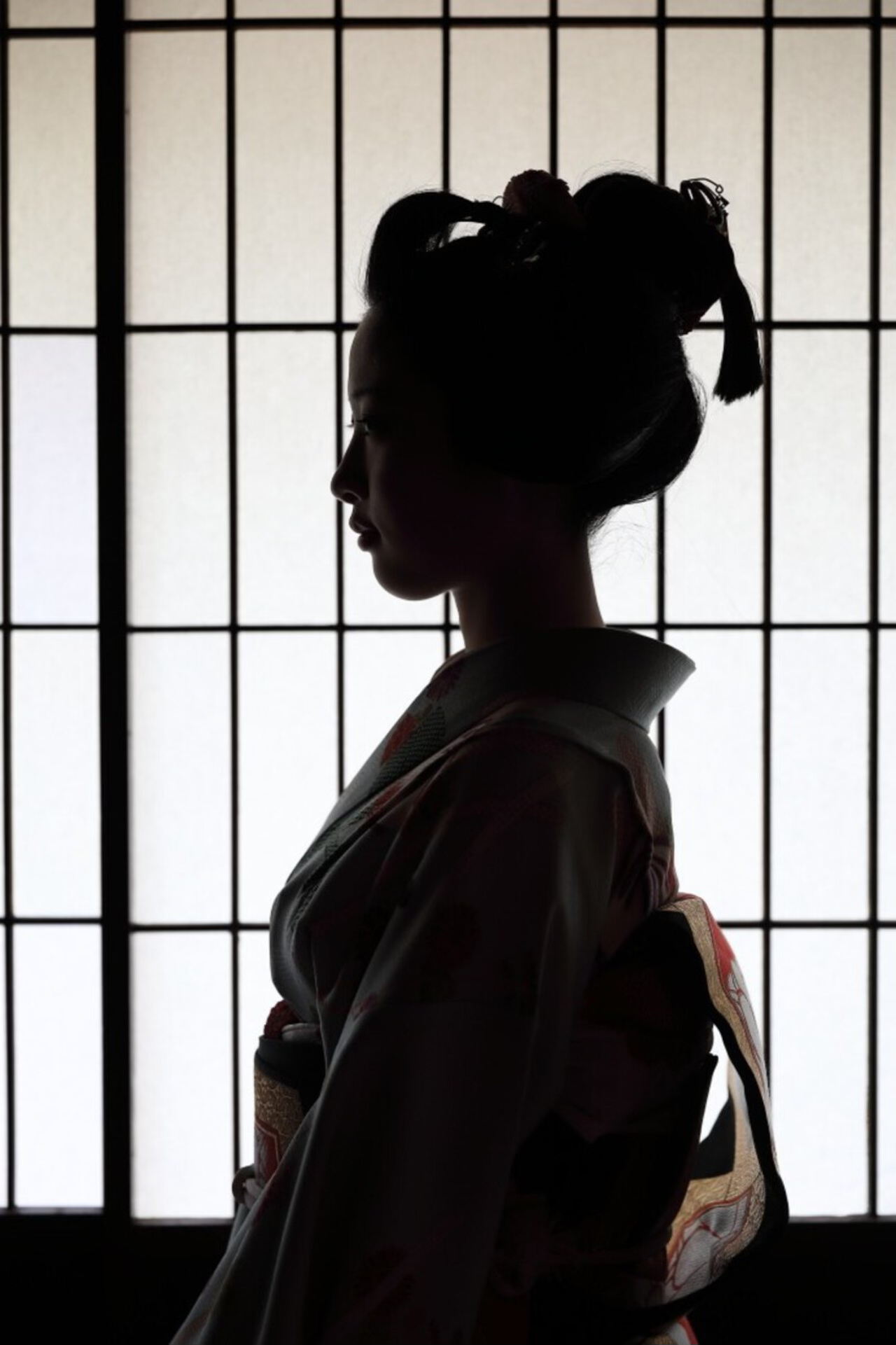 Гейши: Искусство быть тенью и тайная власть красоты