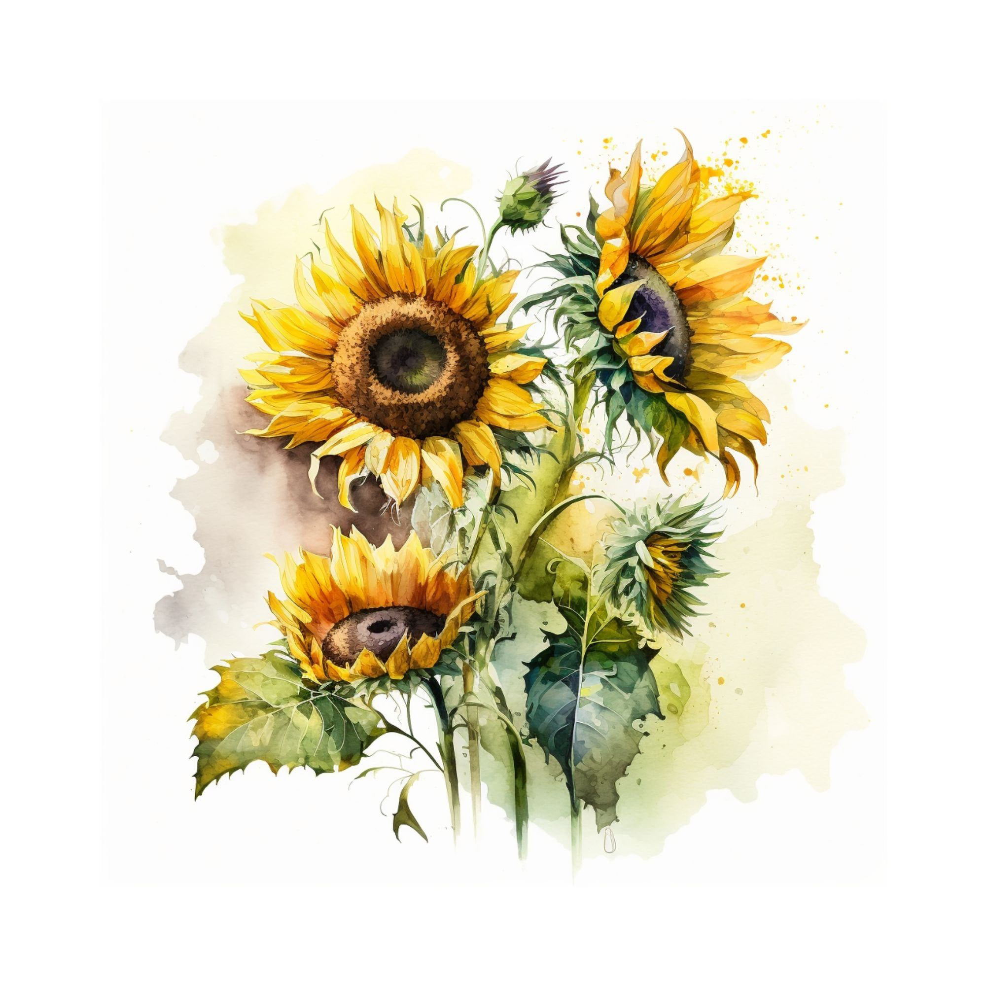 Мастер-класс «Букет подсолнухов» (акварель)