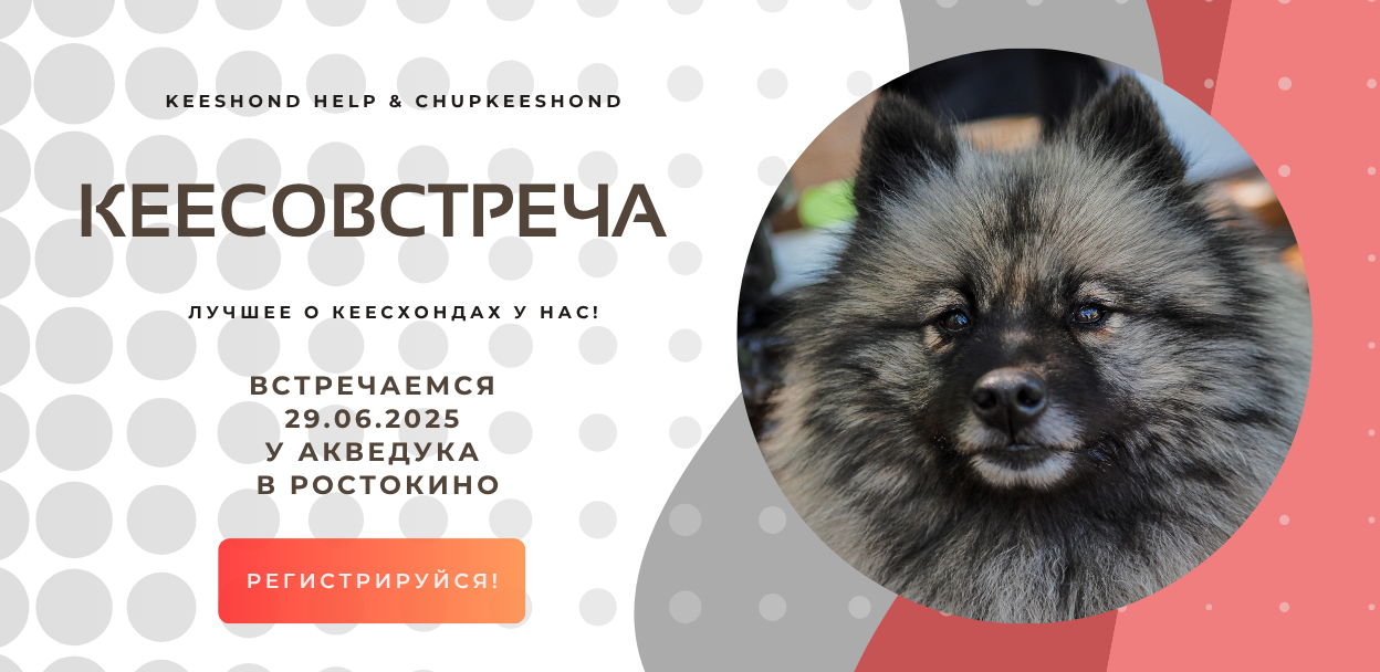 КЕЕСОВСТРЕЧА