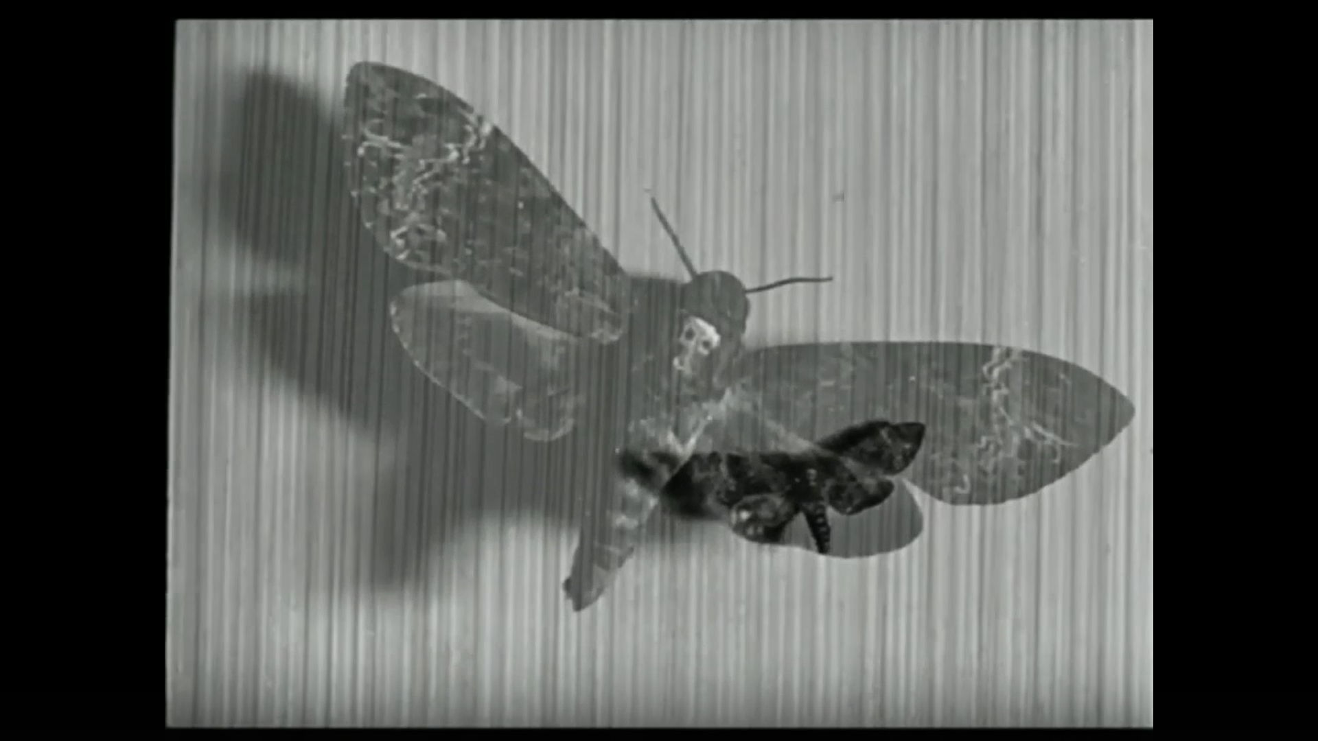 Новое событие