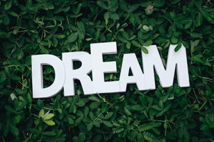 ADVANCED ENGLISH DISCUSSIONS: Dreams (уровень C1 и выше)