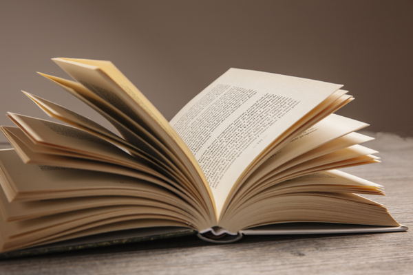 Книжный клуб. «Патриархат плюшевого мишки» Донны Харауэй