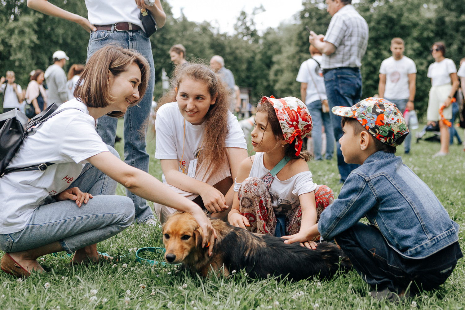 Фестиваль «Собаки, друзья и человеки!»