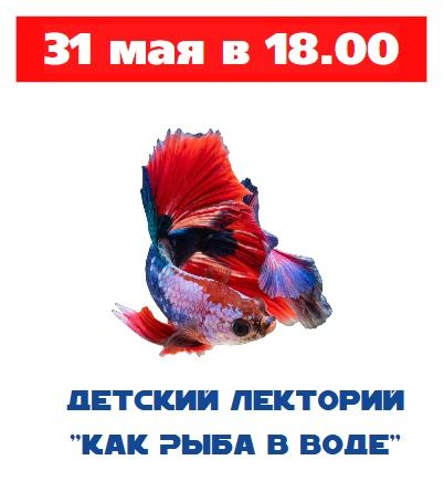 Детский лекторий "Как рыба в воде"