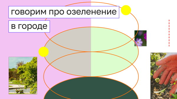 Говорим про озеленение в городе